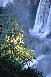 Argentina : le cascate dell' Iguazù