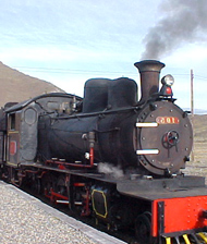 La Trochita